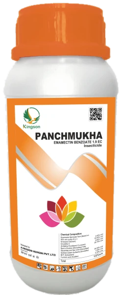 Panchmukha pack